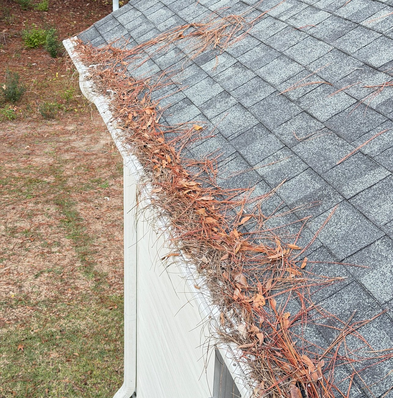 Gutter clogged with leaves and debris before cleaning in Crawfordville, FL